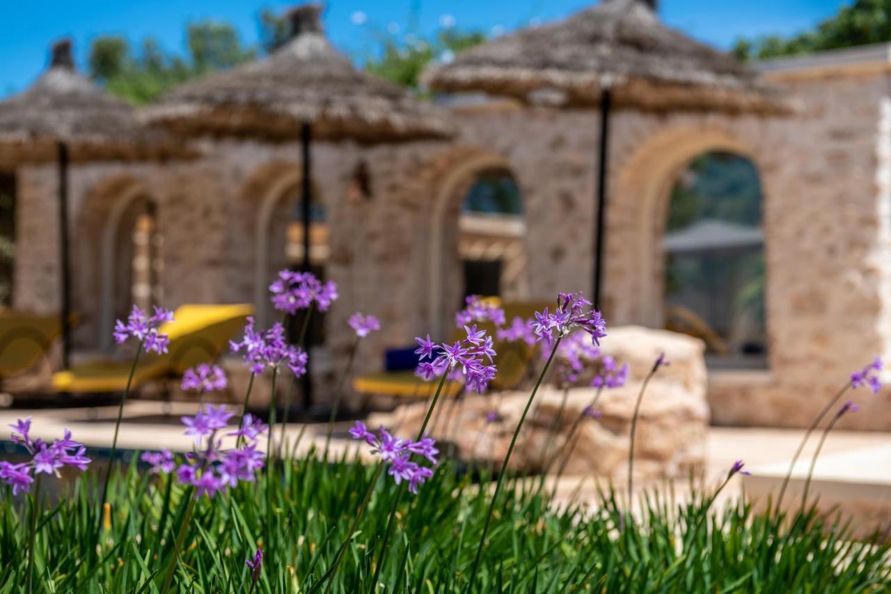 Bed and Breakfast Absolu Beldi Ес-Сувейра Екстер'єр фото